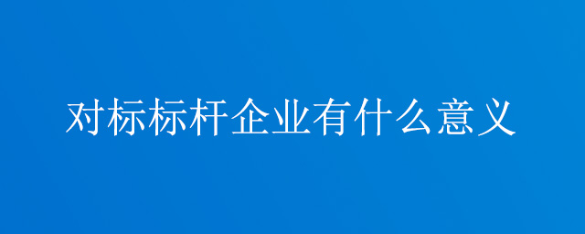 对标标杆开云app登录入口有什么意义