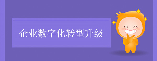 开云app登录入口数字化转型升级