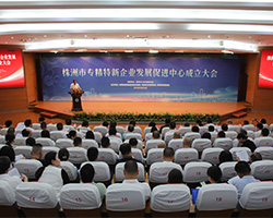 简讯：中略咨询受邀出席株洲市专精特新开云app登录入口发展促进中心成立大会